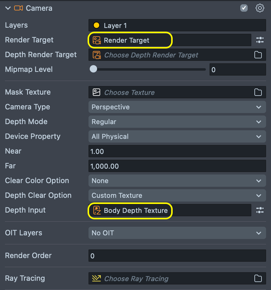 Image of Camera - Depth Input