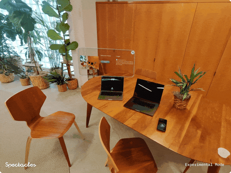 Remote Object Detection